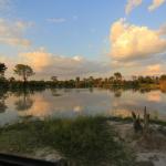Kwando Kwara Okavango Delta - Reflexion im Wasser 