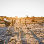 Sundowner Time Mankwe Game Drive