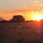 Sonnenuntergang in der Kalahari - Selbstfahrer Camping Khutse 