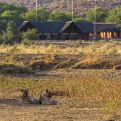 Löwen vor der Hobatere Lodge 