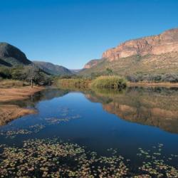 Marakele Nationalpark Südafrika