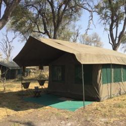Mbudi Campsite, Botswana 