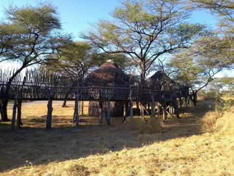 Onguma Tree Top Camp - Kalahari Calling Selbstfahrer