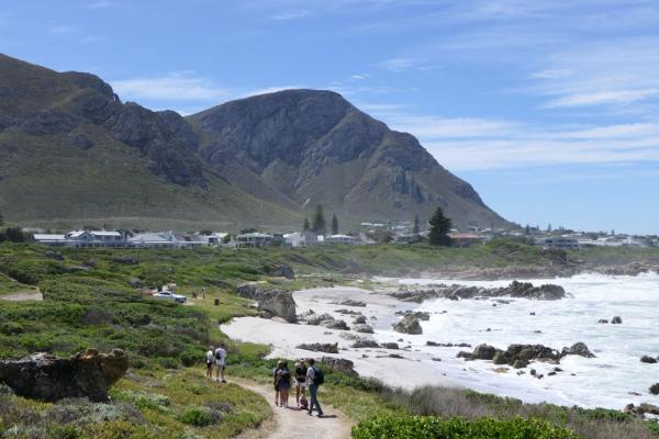 Wanderwege entlang der Küste in Hermanus