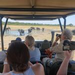 Auf Safari im Hwange Nationalpark