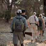 Der Mana Pools Nationalpark ist berühmt für die Fußsafaris 