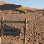 Am Eingang zum Deadvlei