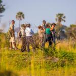 Im Okavango Delta