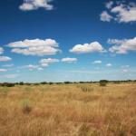 In der Kalahari - mobile Safari in Botswana 