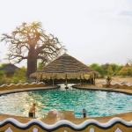 Der Pool am Planet Baobab 