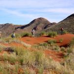 Wanderung auf dem Tok Tokkie Trail in Namibia