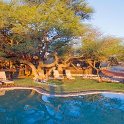 Intu Africa Camelthorn Lodge in Namibia 