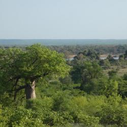 Der Limpopo Fluss bildet die Grenze zu Zimbabwe