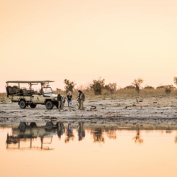 Mankwe Tented Retreat - Sundowner in der Wildnis