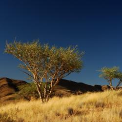 Rooisand Desert Lodge Landschaft