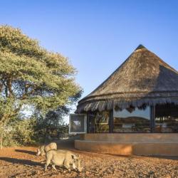 Okonjima Bush Camp Chalet, Namibia 