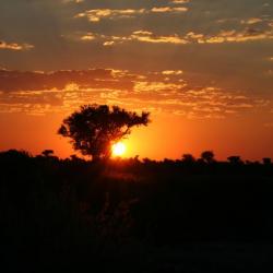Sonnenuntergang in der Kalahari - Selbstfahrer Camping Reise in Botswana