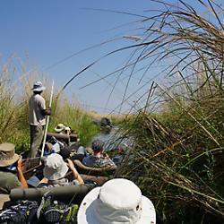 Unterwegs per Mokoro im Okavango Delta