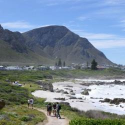 Wanderwege entlang der Küste in Hermanus