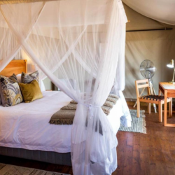 Zelthaus im Mankwe Tented Retreat in der Greater Moremi Area