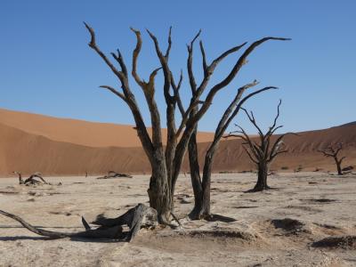 Dead Vlei, Namibia