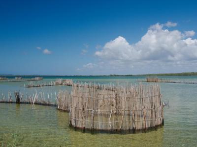 Kosi Lake - traditionelle Fischfallen der Tsonga