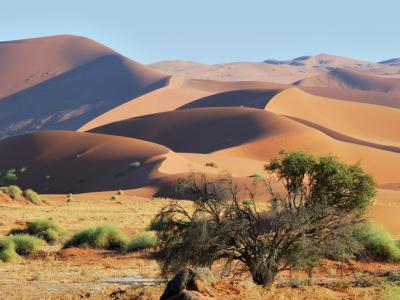 Namibia Rundreise - In der Namib Wüste