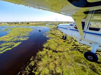 Das Okavango Delta aus der Luft erleben