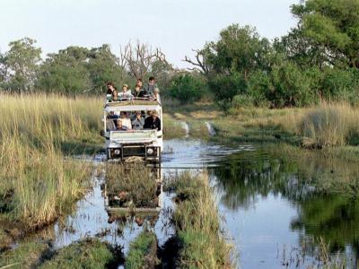 Unterwegs im Nationalpark - Botswana Safari 